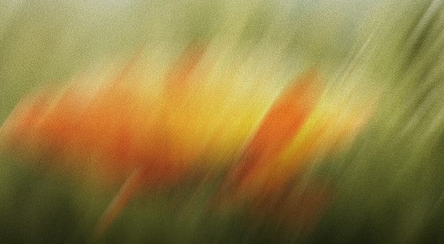 Abstract blurred streaks of orange and yellow against a soft green background, with a grainy texture